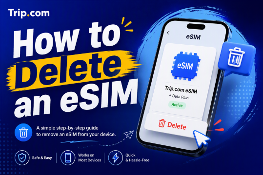 How to Delete an eSIM