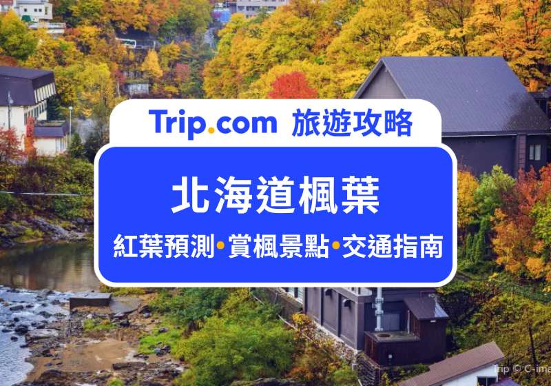 2025 北海道楓葉｜紅葉前線最新預測！Top 10 北海道紅葉景點推薦