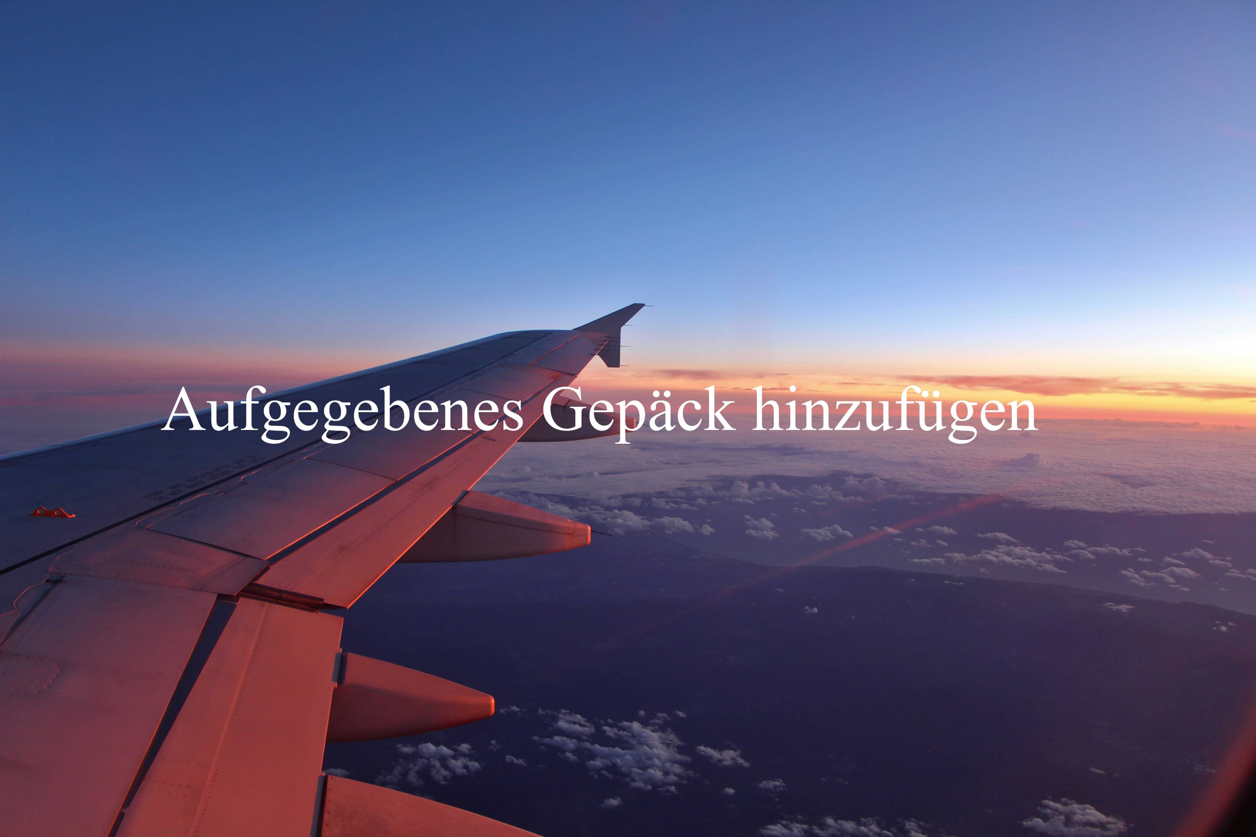 Aufgegebenes Gepäck hinzufügen
