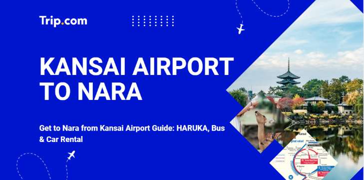 Get to Nara from Kansai Airport Guide: HARUKA, Bus & Car Rental | Trip.com