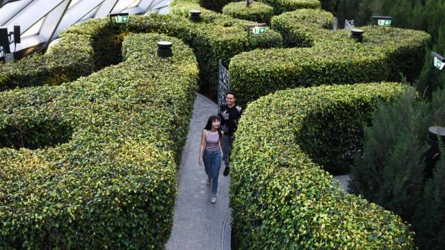 Hedge Maze @ Jewel Changi Airport