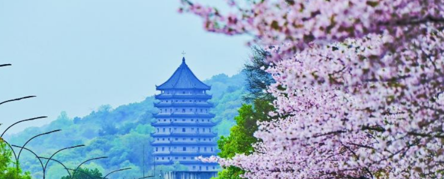 Hangzhou Travel Guide: Best Hotels, Attractions, and Transport