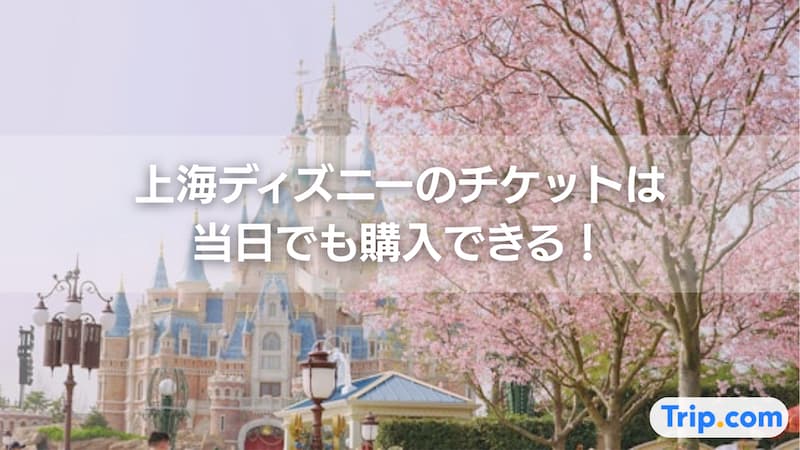 上海ディズニー 当日 チケット