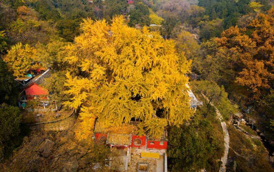 Mount Tai Weather & Best Time to Visit