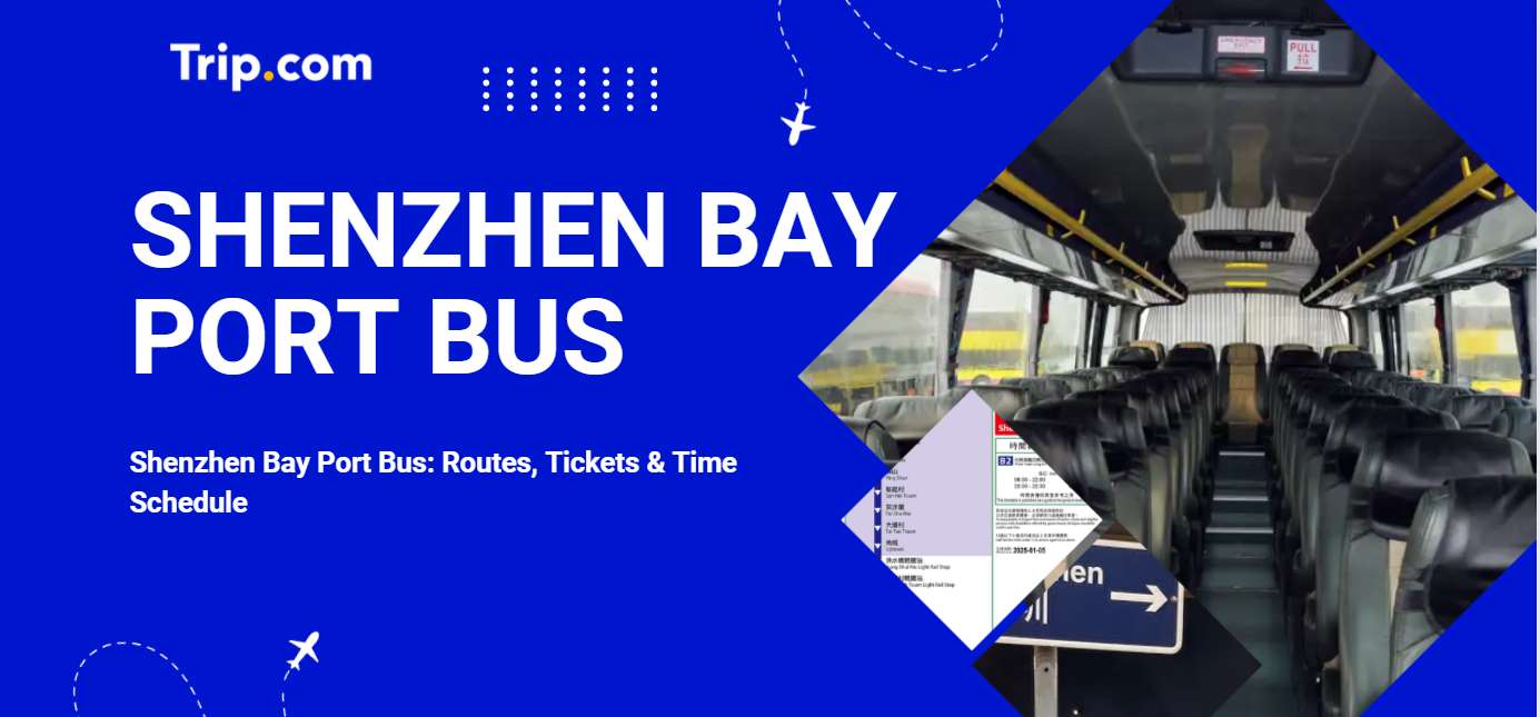 Shenzhen Bay Port Bus
