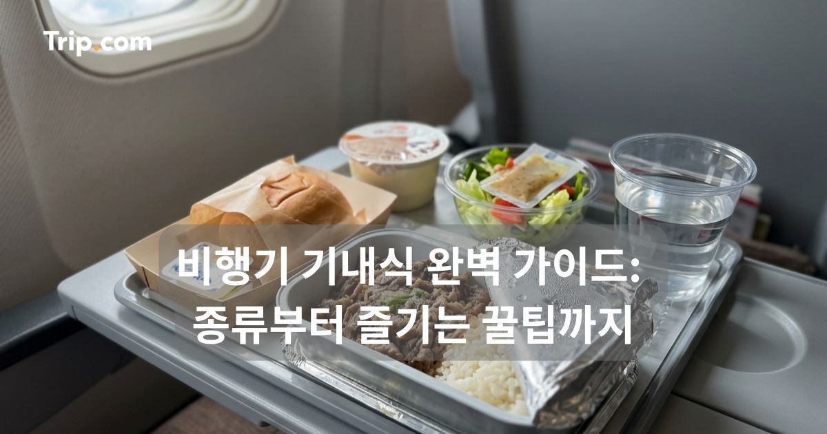 비행기 기내식 완벽 가이드: 종류부터 즐기는 꿀팁까지 | 트립닷컴