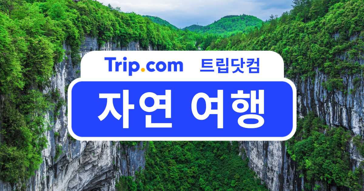 자연 여행 국내 해외 여행지