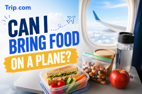 Can I Bring Food on a Plane? Airline Rules & Travel Tips | Trip.com