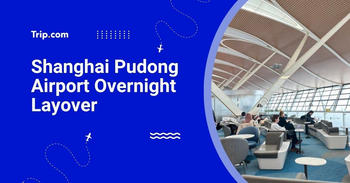 Shanghai Pudong Airport Overnight Layover Guide 2026