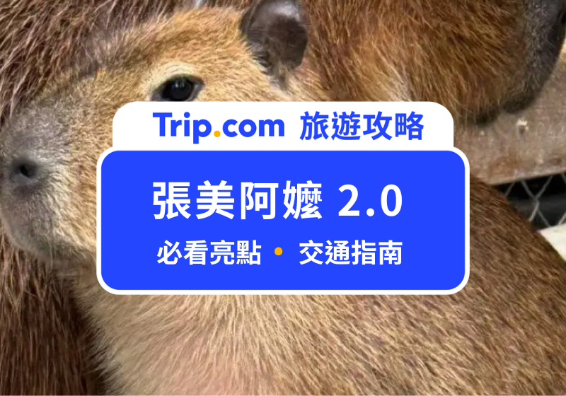 張美阿嬤 2.0