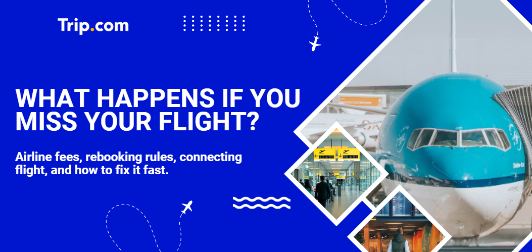 What Happens if You Miss Your Flight?