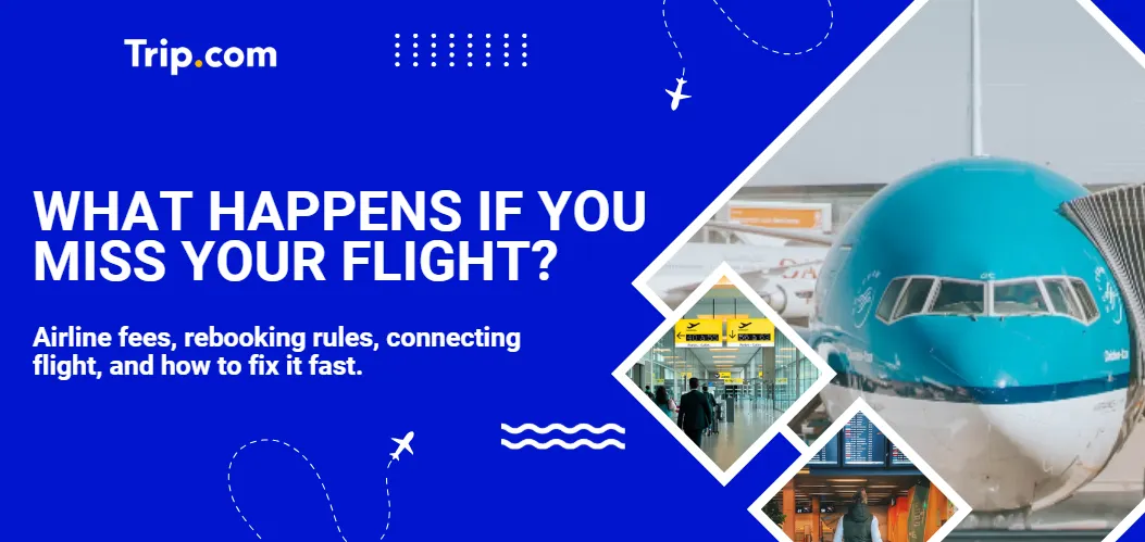 What Happens If You Miss Your Flight? Guide & Tips | Trip.com