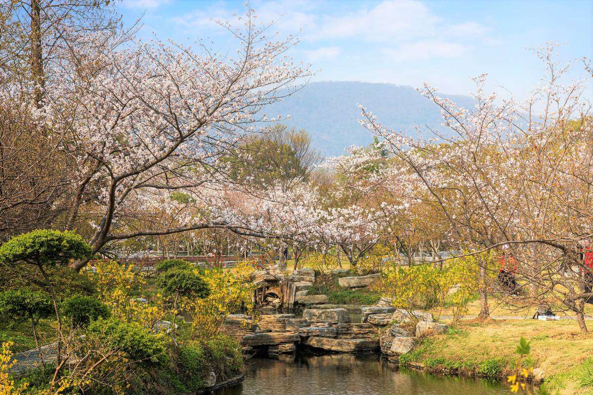 中山陵門票