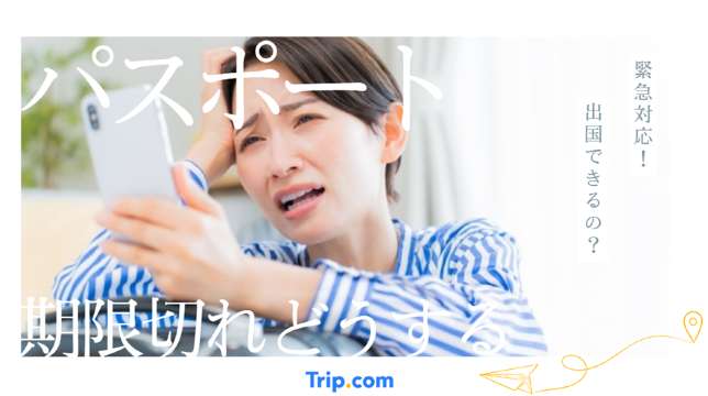 【緊急】パスポートが期限切れ！再取得や更新方法をわかりやすく解説