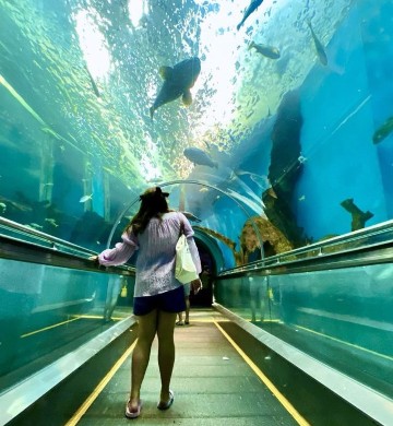 สถานแสดงพันธุ์สัตว์น้ำระยอง