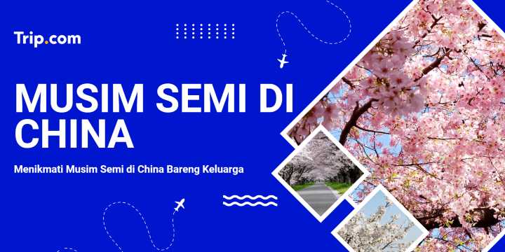 Panduan Musim Semi di China | Trip.com