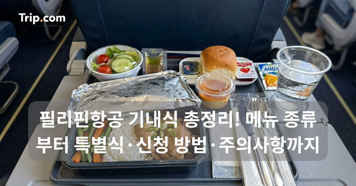 필리핀항공 기내식 총정리! 메뉴 종류부터 신청 방법까지 | 트립닷컴
