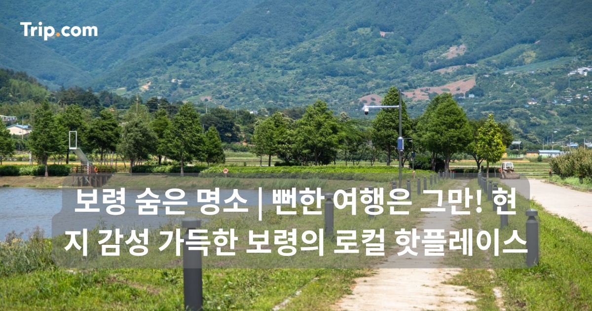 보령 숨은 명소: 현지 감성 가득한 보령의 로컬 핫플레이스 | 트립닷컴