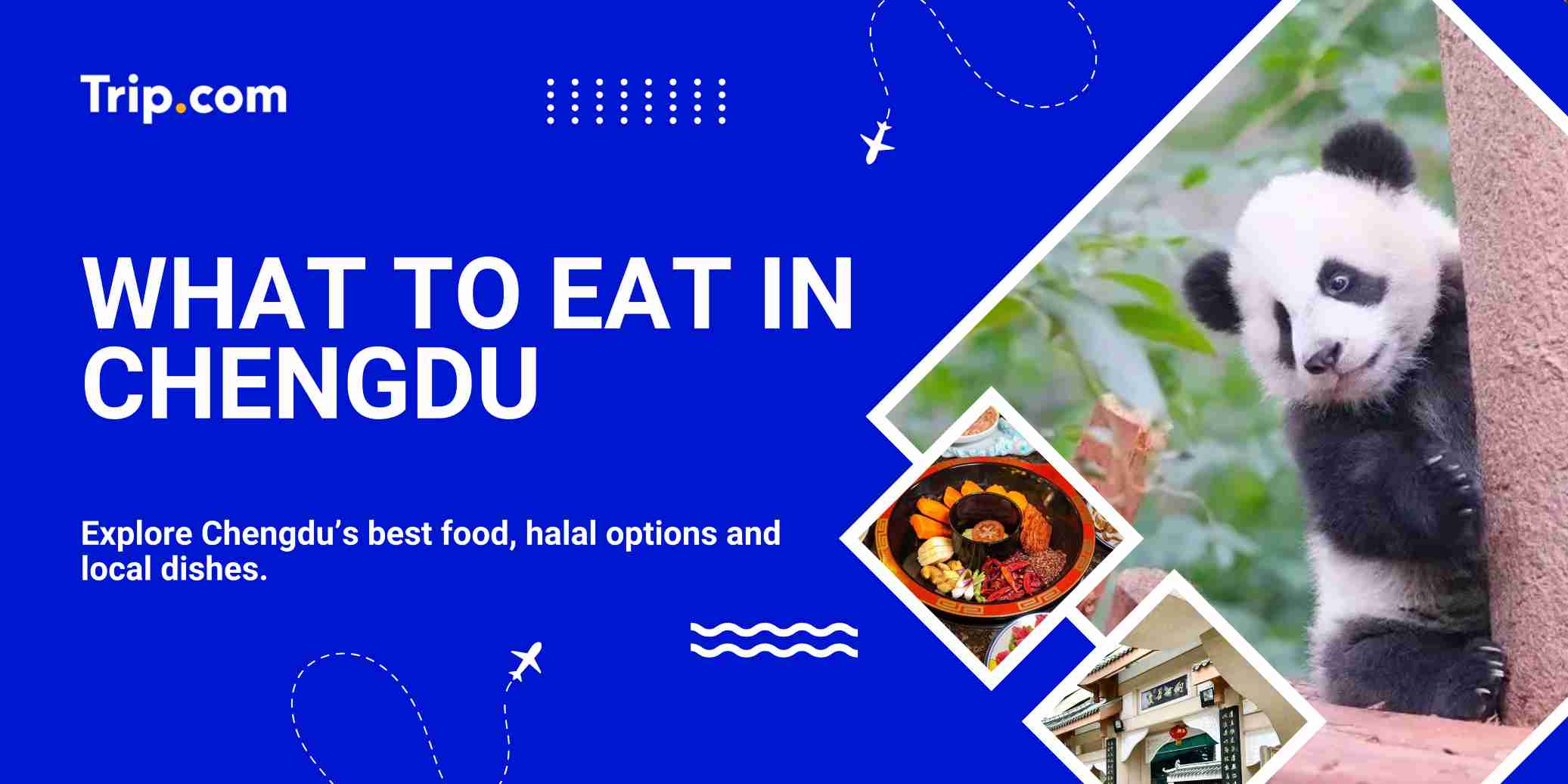 Discover Chengdu’s best food, from spicy hotpot to halal dishes.