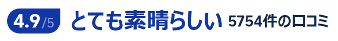 観光客のレビュー