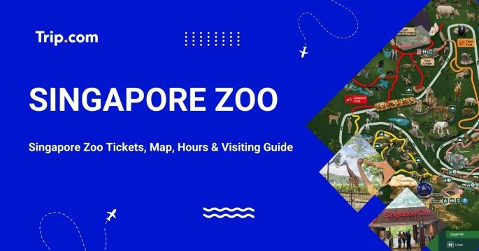 Singapore Zoo: Tickets, Night Safari, Map & Visiting Guide | Trip.com
