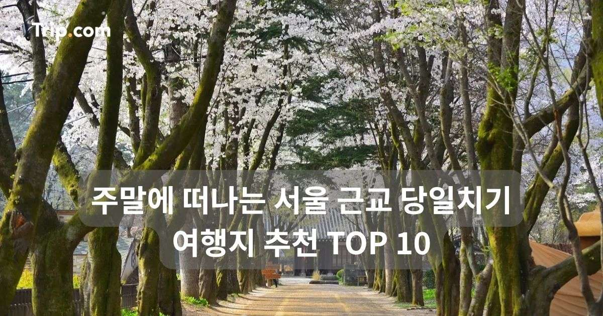 주말에 떠나는 서울 근교 당일치기 여행지 추천 TOP 10 | 트립닷컴