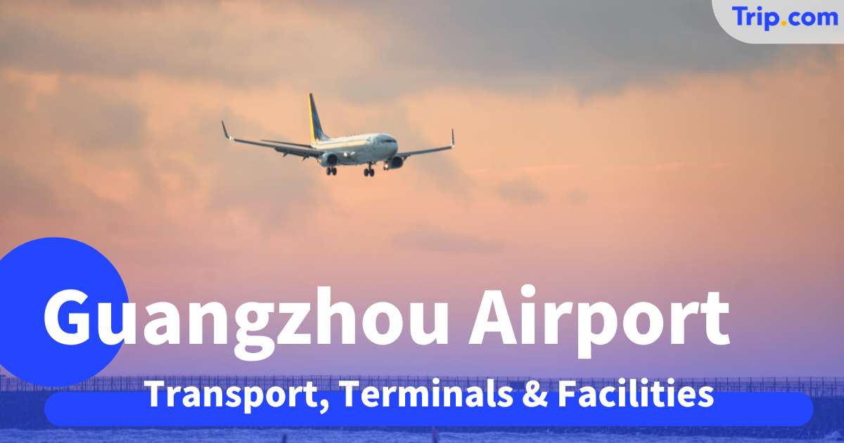 Guangzhou Airport Guide 2026: Transport, Terminals & Facilities | Trip.com