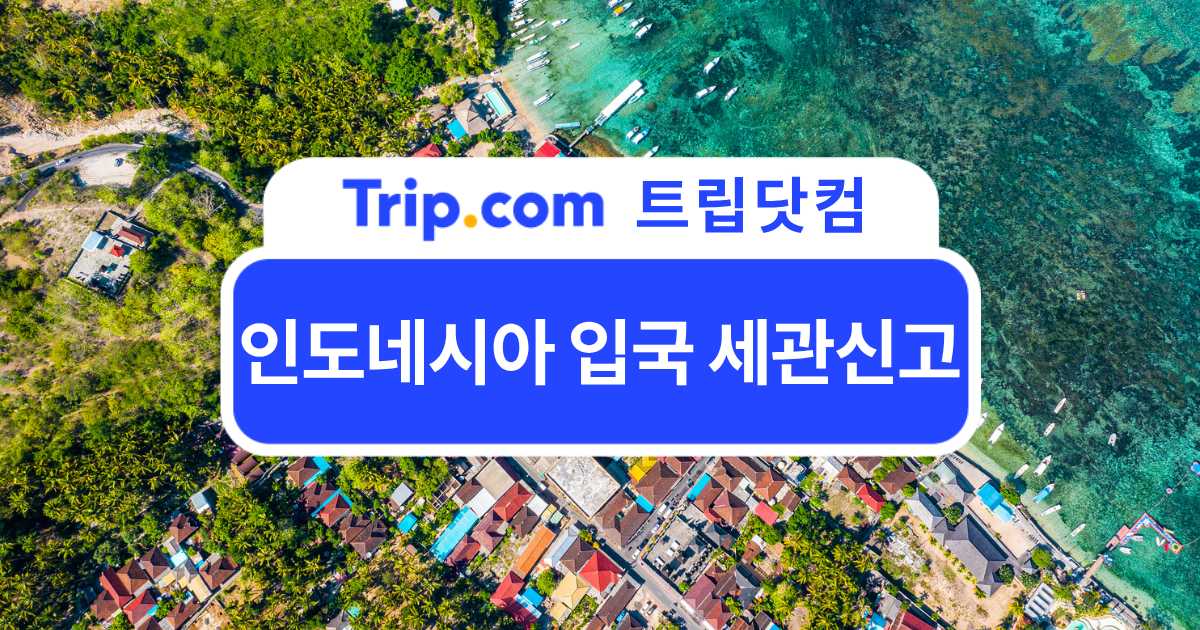 인도네시아 입국 세관신고 완벽 가이드