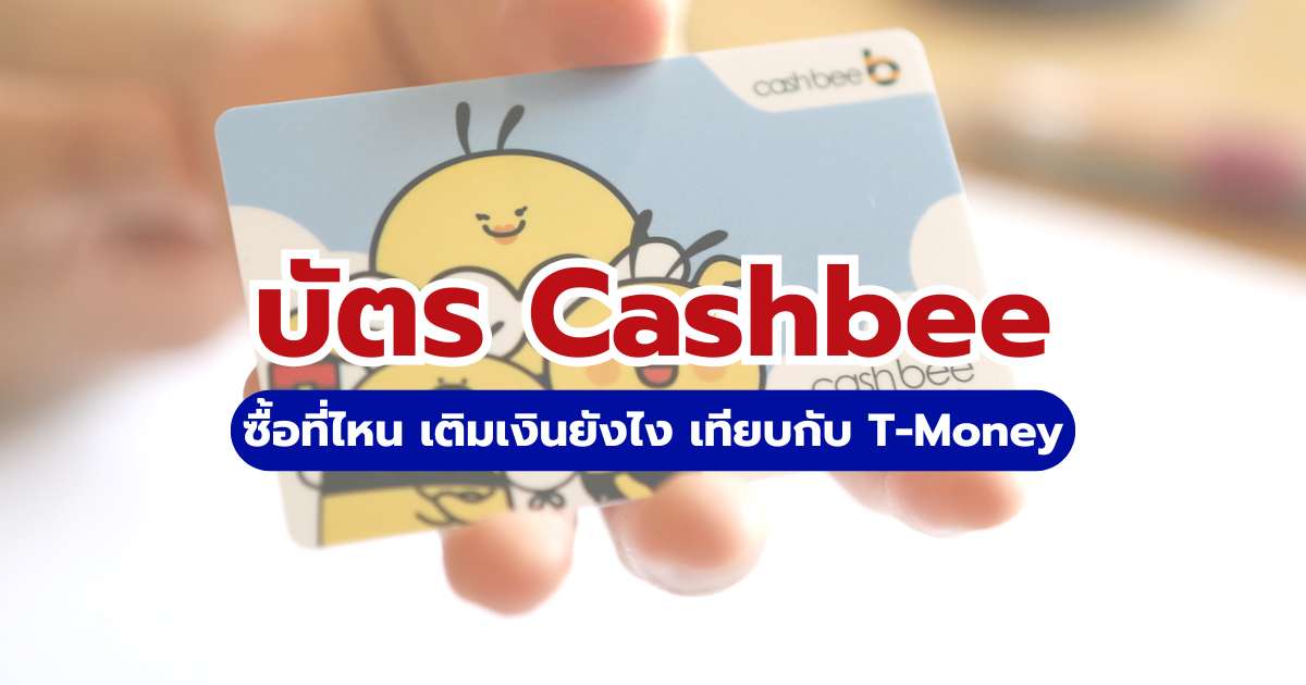 บัตร Cashbee เที่ยวเกาหลี 2569 ซื้อที่ไหน เติมเงินยังไง เทียบกับ T-Money | Trip.com