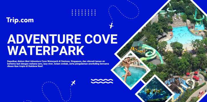 adventure cove waterpark
