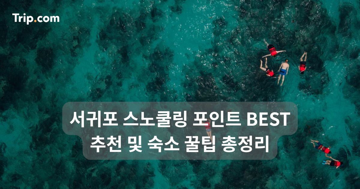 서귀포 스노쿨링 포인트 BEST 추천 및 숙소 꿀팁 총정리 | 트립닷컴
