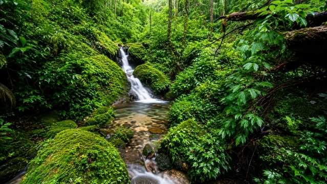 Destinasi Wisata Populer di Nakhon Si Thammarat | Trip.com