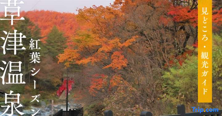 【2026年最新】草津温泉で紅葉を楽しむ！見頃・おすすめスポット7選