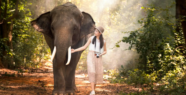 Chiang Mai Travel Guide: What to do, Where to Sleep & Transport Tips