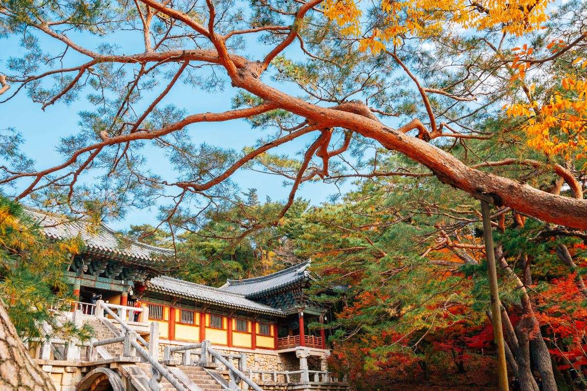 경주 여행 필수 코스