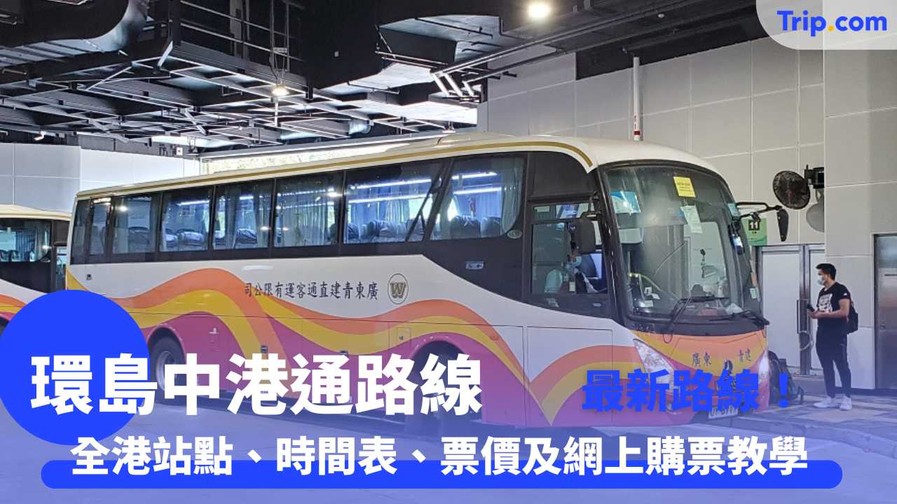 環島中港通路線