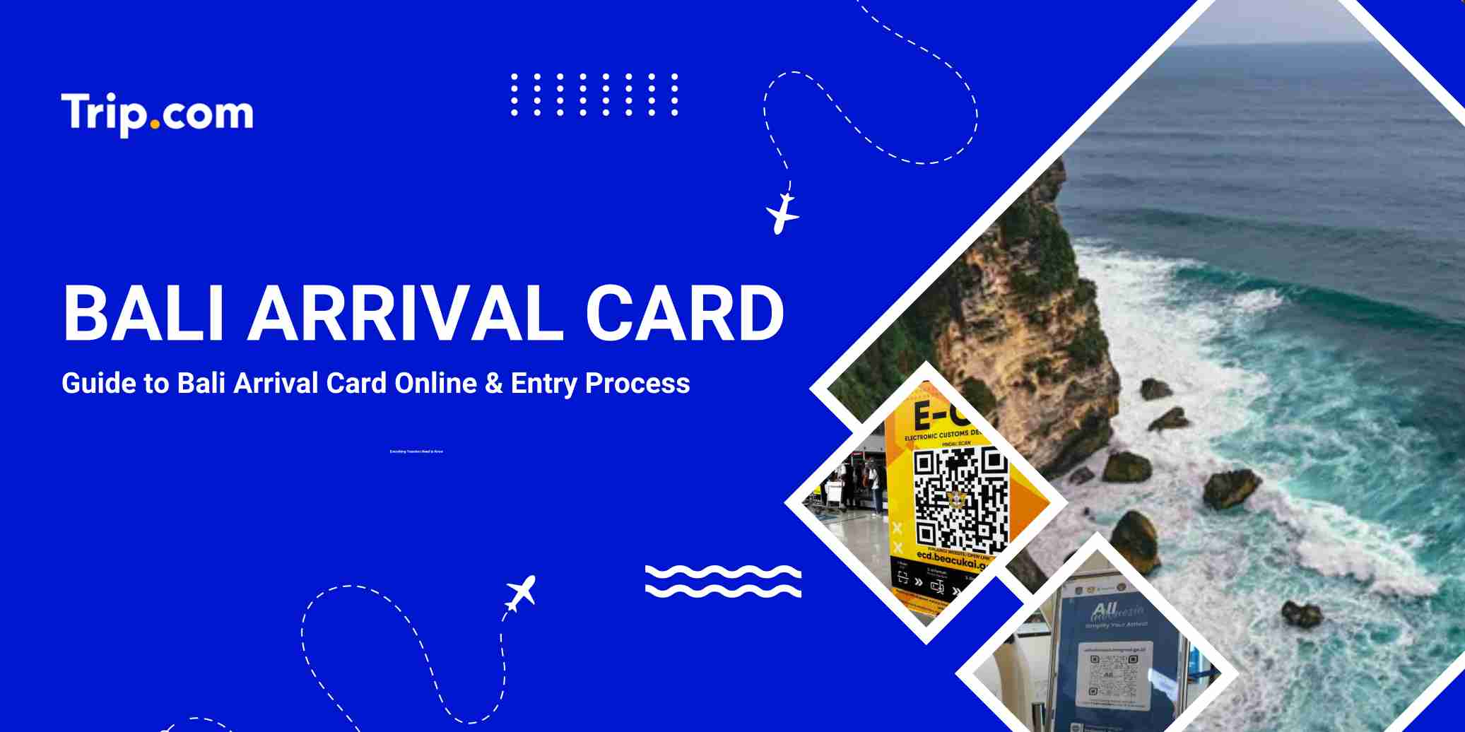 Bali Arrival Card