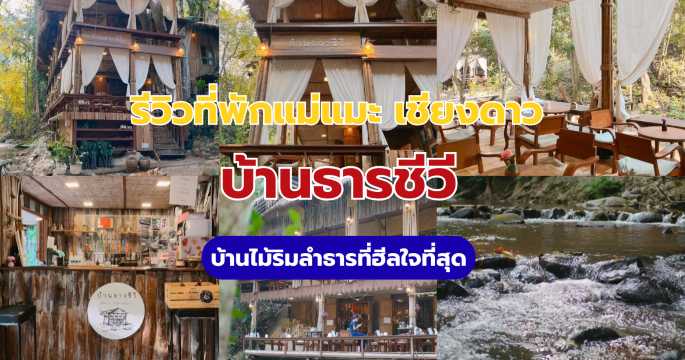 รีวิวบ้านธารชีวี แม่แมะ เชียงดาว 2569: บ้านไม้ริมลำธารที่ฮีลใจที่สุด