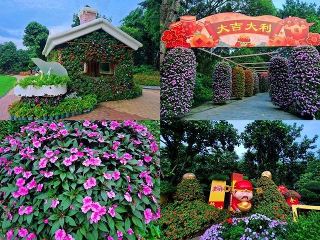 ภูเขาชิงซิ่ว (Qingxiu Mountain)