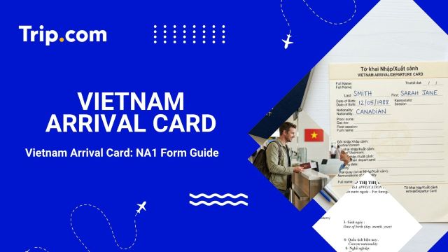 Vietnam Arrival Card