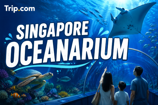 Singapore Oceanarium