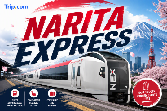 Narita Express (N'EX)