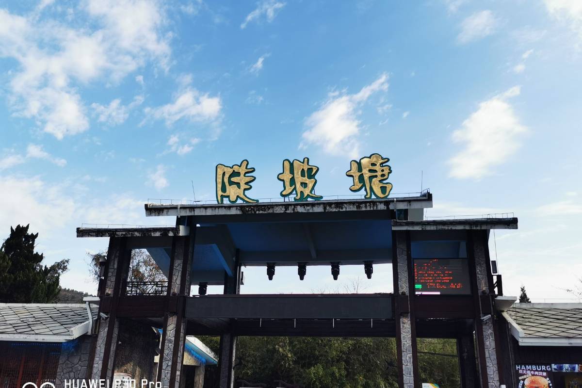 陡坡塘景區：距離最近、路線最輕鬆的小巧秘境