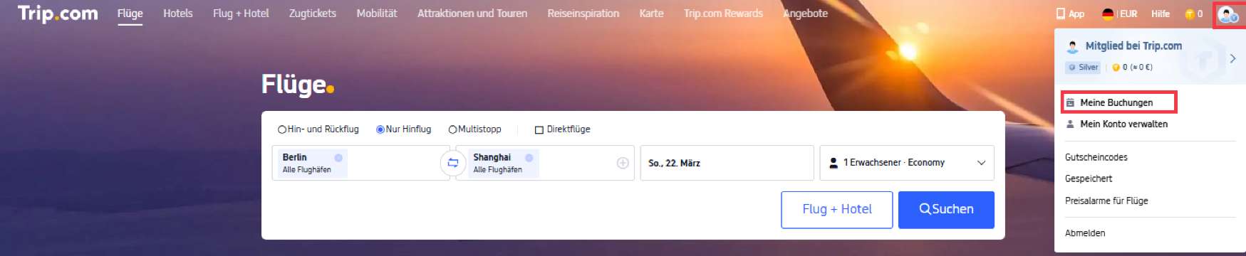 So verfolgen Sie den Flugstatus auf der Trip.com-Website