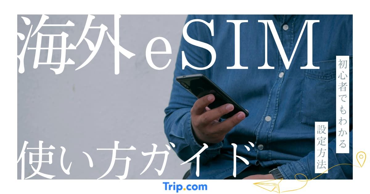 海外eSIMの使い方・設定方法｜iPhone・Android対応