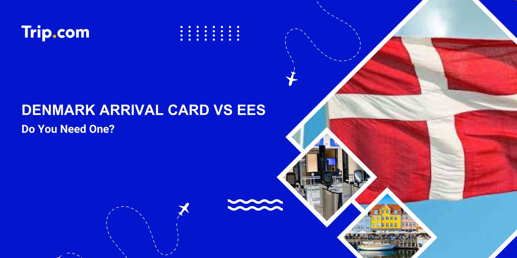 Denmark Arrival Card