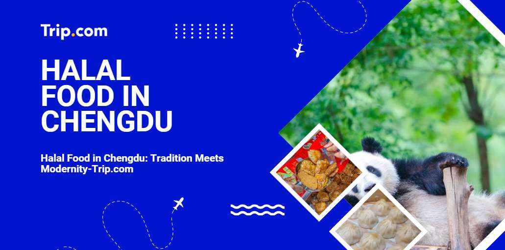 Halal Food in Chengdu-Trip.com