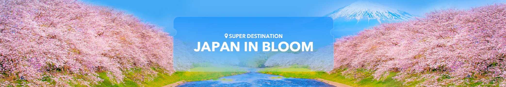 Trip.com Promo Code Singapore: Japan Widbrook Grange Promo Code