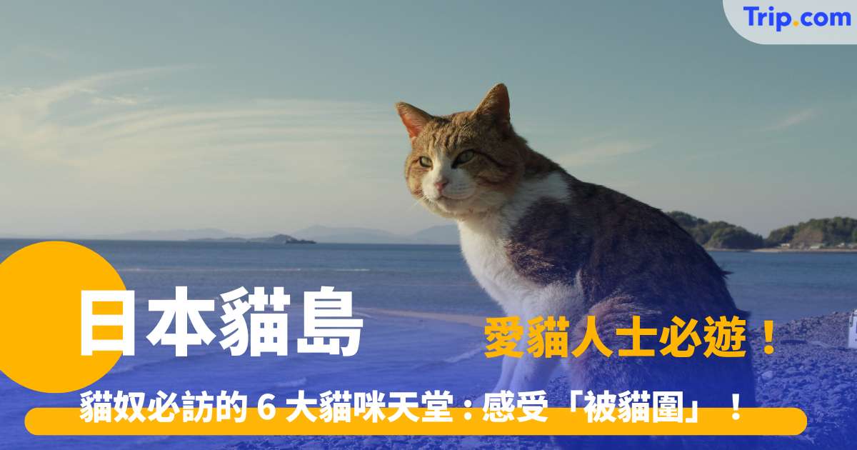 【2026日本貓島】貓奴必訪的 6 大貓咪天堂 : 感受「被貓圍」！ | Trip.com