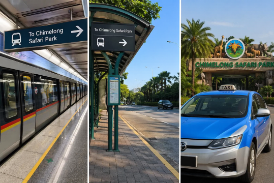 chimelong safari park by metro, by bus or taxi